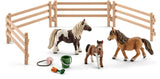 SHETLAND PONY FAMILIE