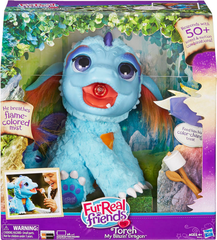 DREAM PET 2016