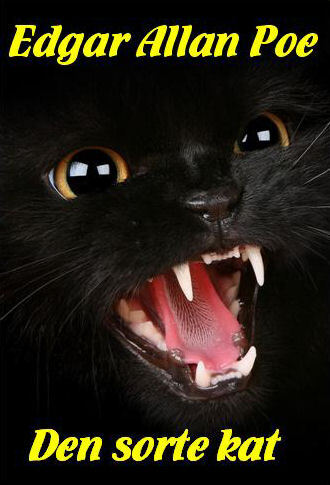 Den sorte kat