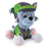 PAW PATROL BASIC PLYS ASS