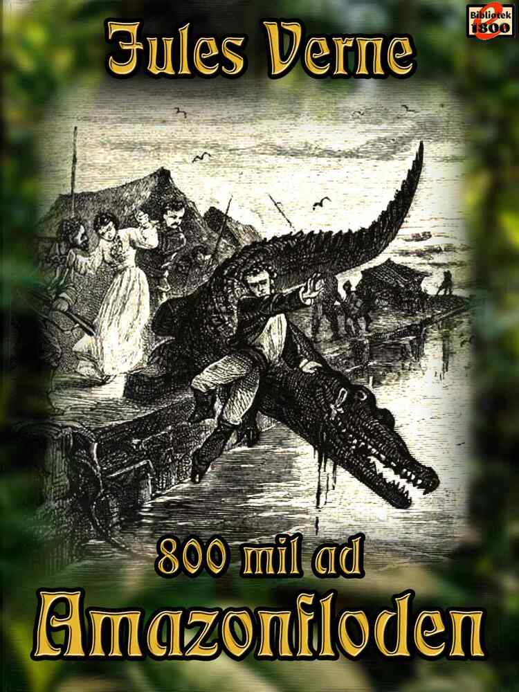 800 mil ad Amazonfloden
