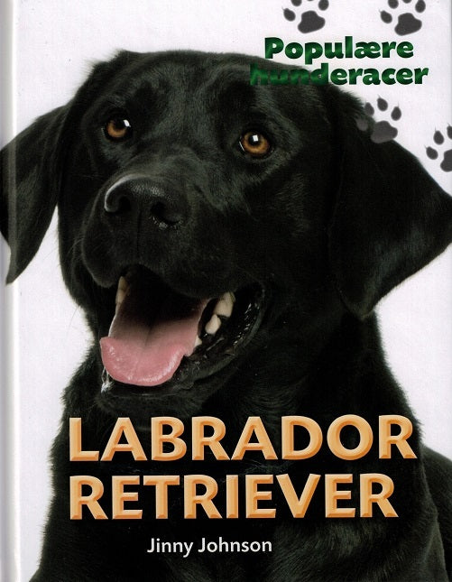 POPULÆRE HUNDERACER: Labrador retriever