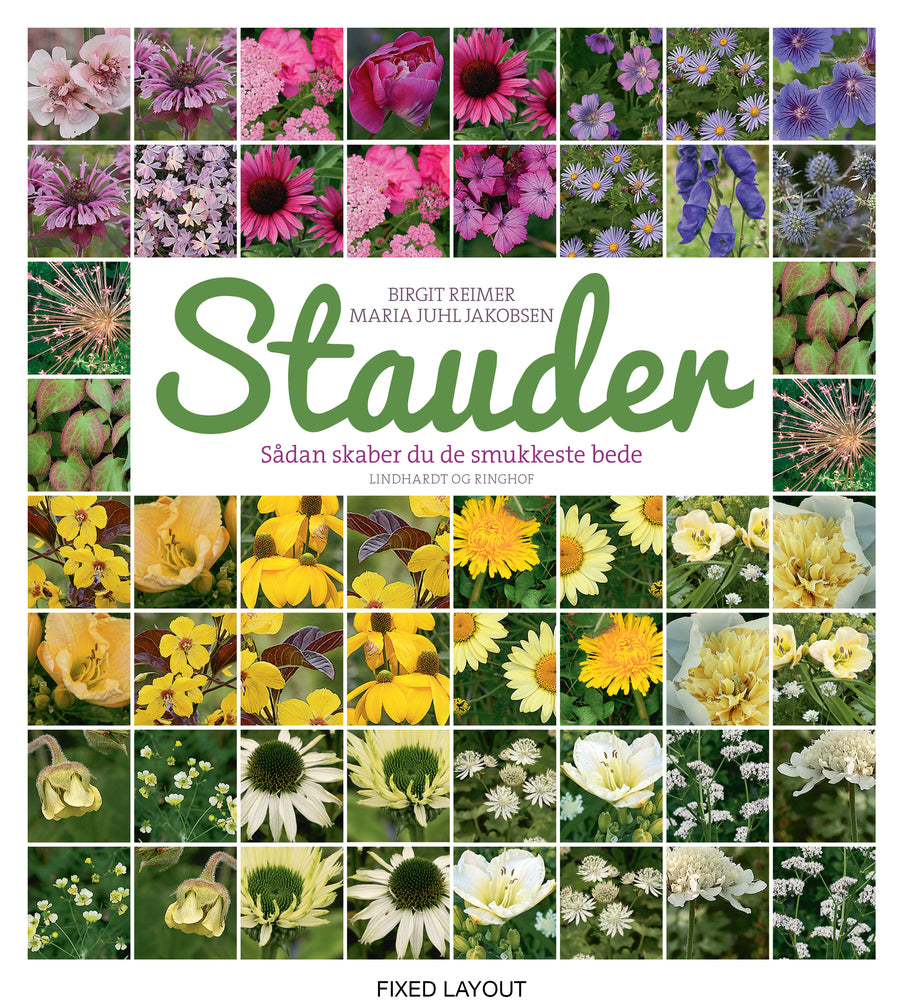 Stauder