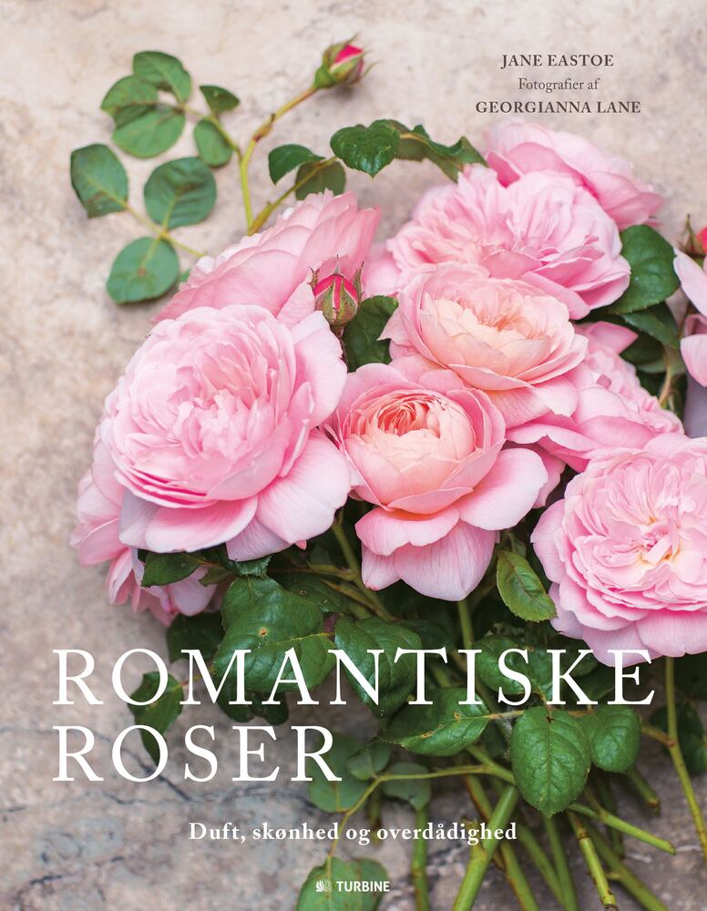 Romantiske roser