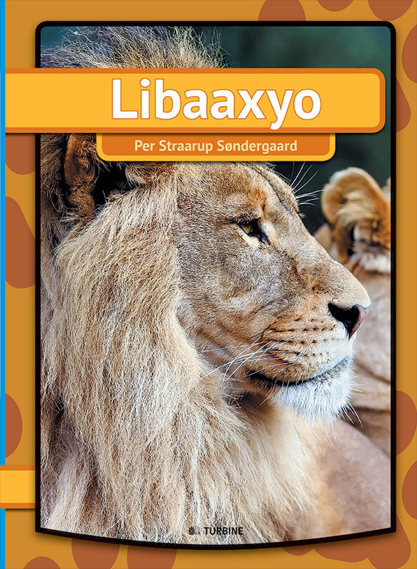 Libaaxyo