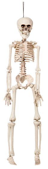 Hængende skelet 42 cm