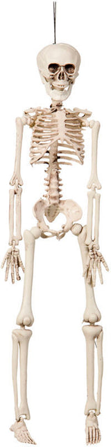 Hængende skelet 42 cm