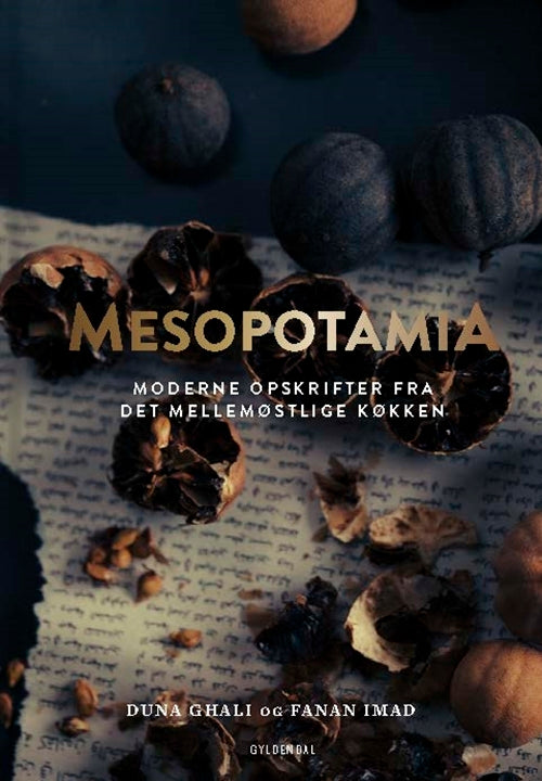 Mesopotamia