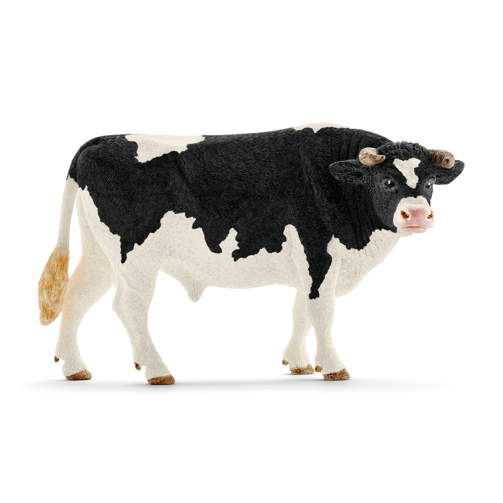 Holstein tyr