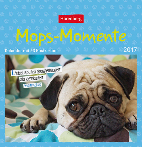 Mops-Momente - Pugs Premium-Postkortkalender 2017
