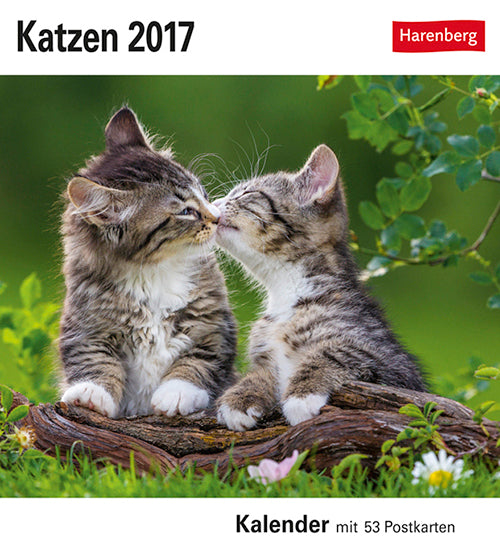 Katzen Postkortkalender 2017