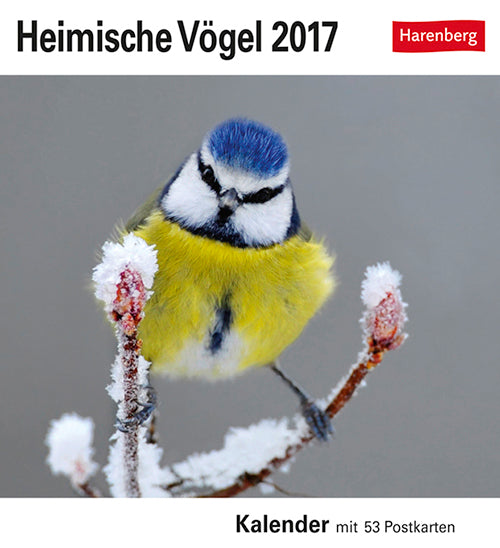 Heimische Vögel Postkortkalender 2017