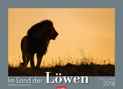 Im Land der Löwen 2017