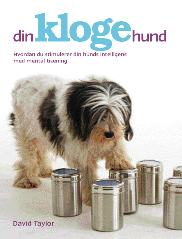 Din kloge hund