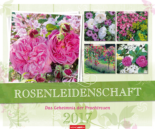 Rosenleidenschaft - Roses 2017