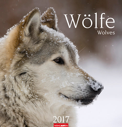 Wölfe - Wolves 2017