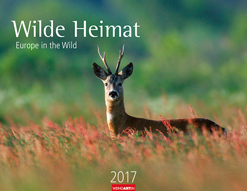 Wilde Heimat - Europe in the Wild 2017