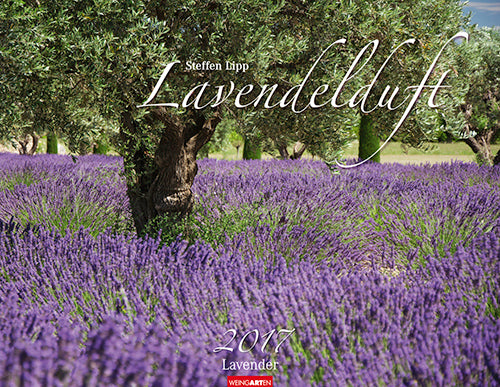 Lavendelduft - Lavender 2017