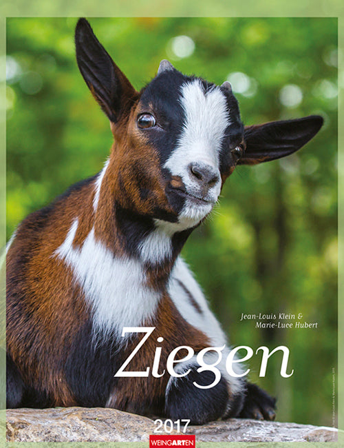 Ziegen - Goats 2017