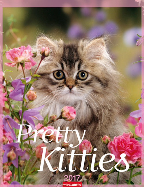 Pretty Kitties 2017