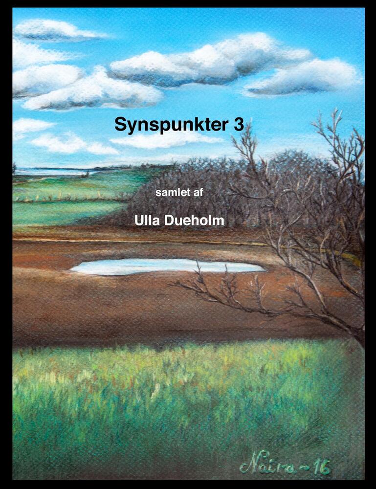 Synspunkter 3