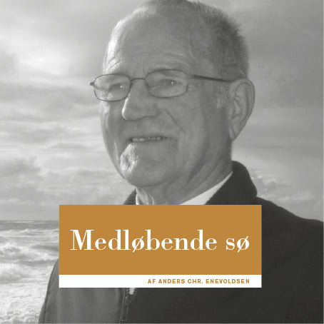 Medløbende sø