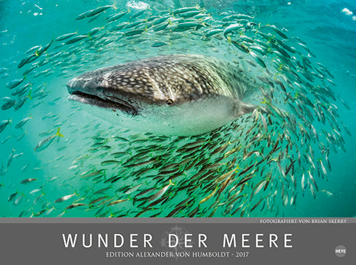 Wunder der Meere 2017
