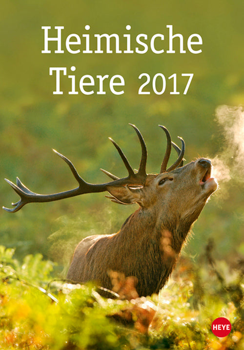 Heimische Tiere 2017