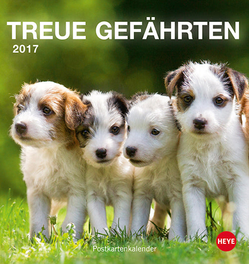 Hunde Postkortkalender 2017