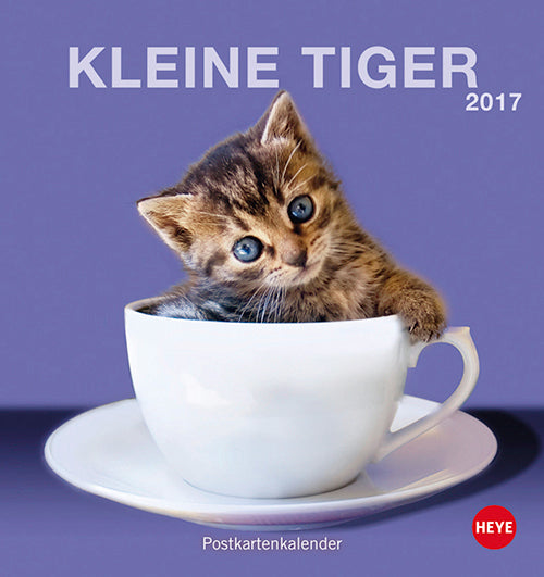 Katzen Postkortkalender 2017