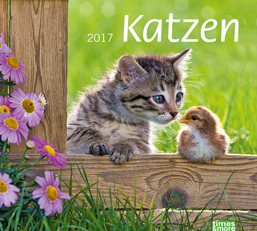 Bildkalender Katzen 2017