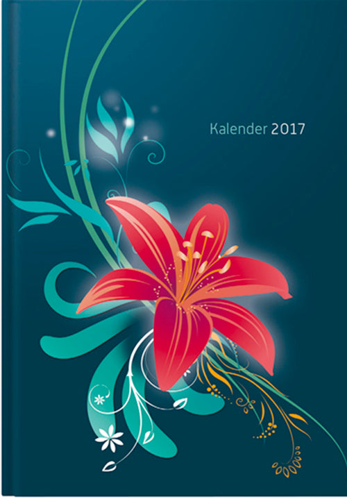 Ranke 17 Monatskalenderbuch A6 2017