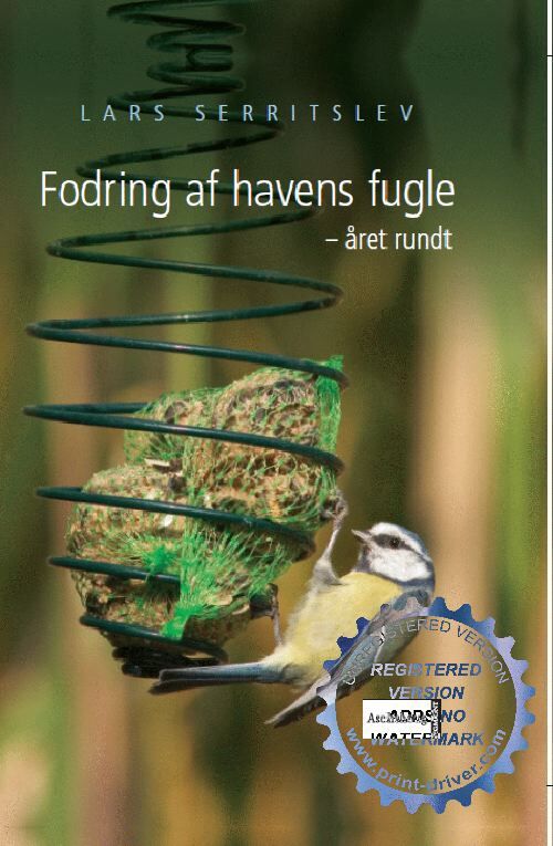 Fodring af havens fugle året rundt