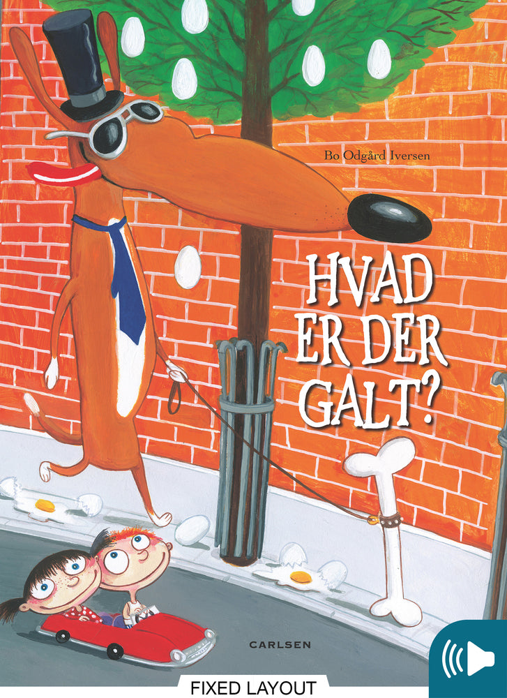 Hvad er der galt?