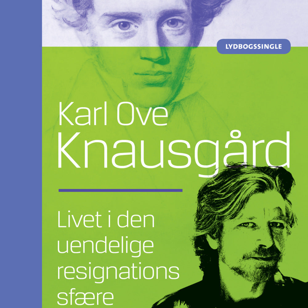Livet i den uendelige resignations sfære