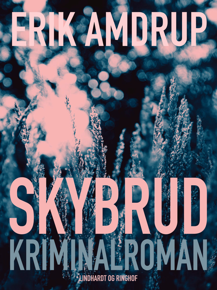 Skybrud