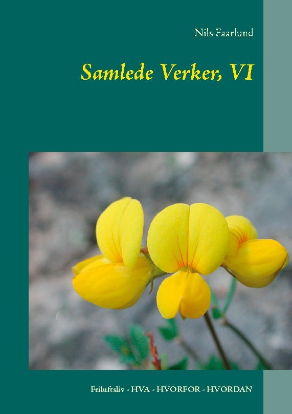 Samlede Verker, VI