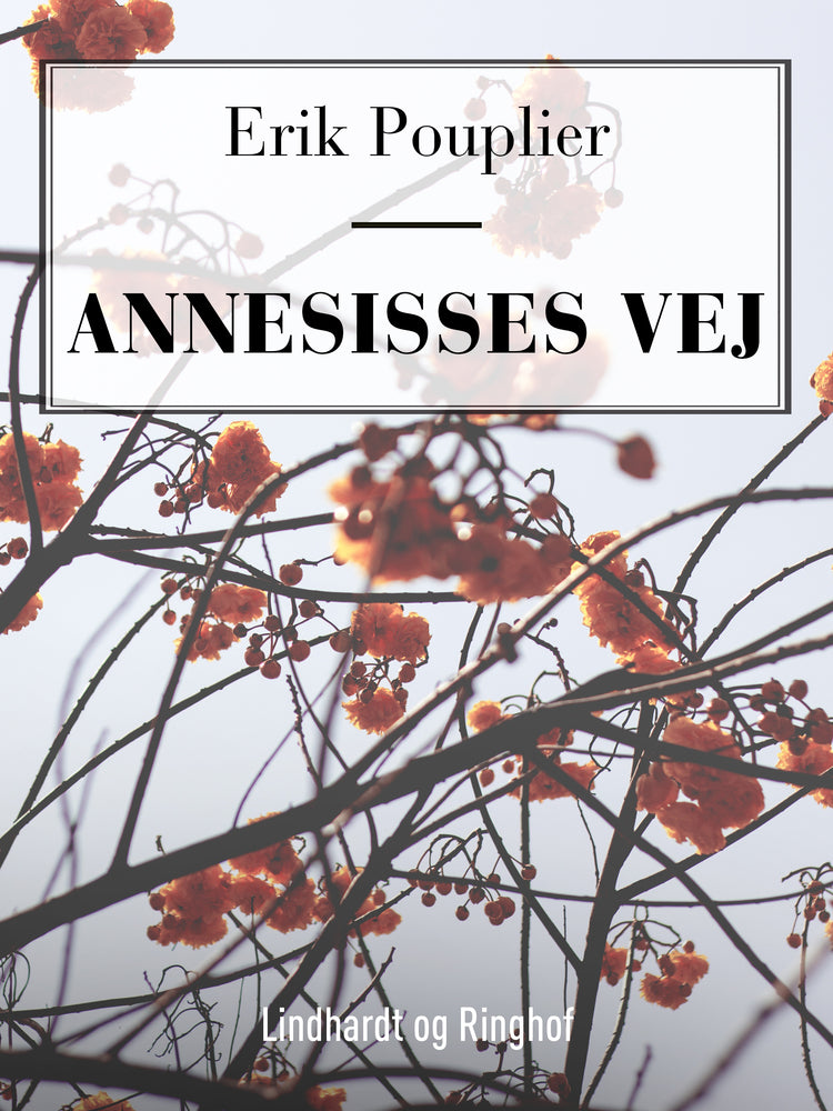 Annesisses vej