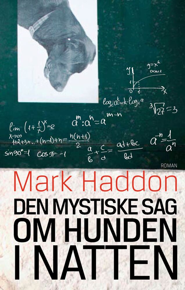 Den mystiske sag om hunden i natten