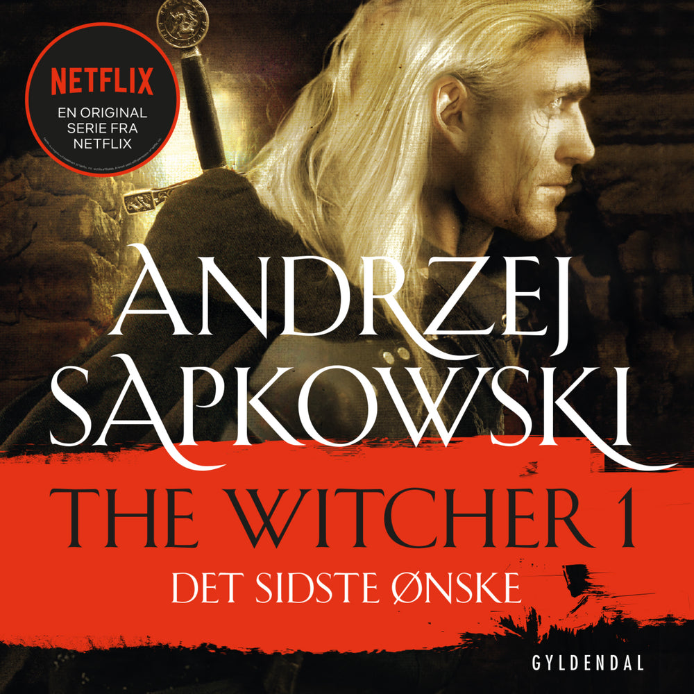 THE WITCHER 1