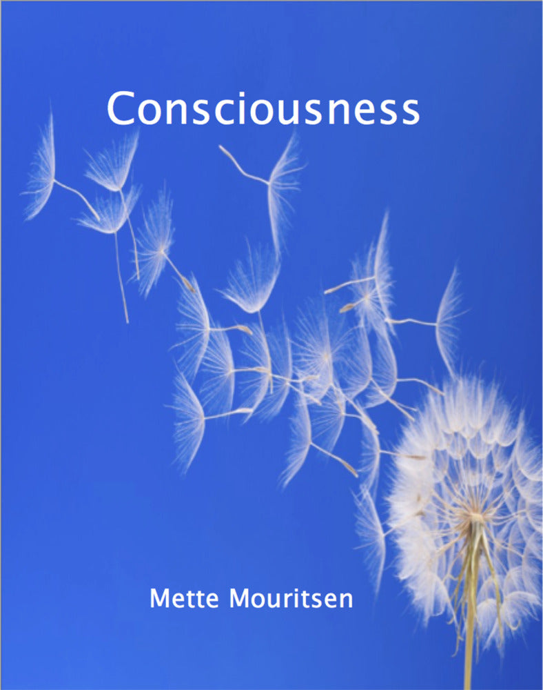 Consciousness