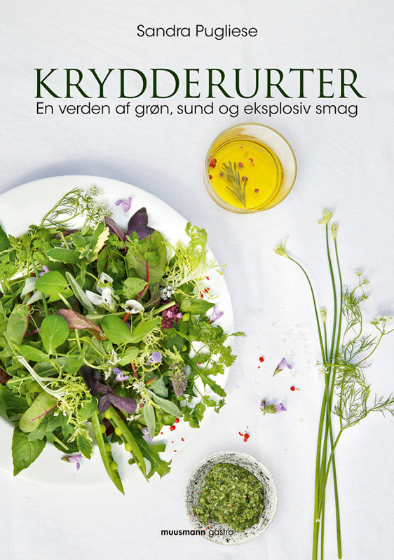 Krydderurter