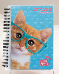 LEKTIEKALENDER STUDIO PET 2017/18