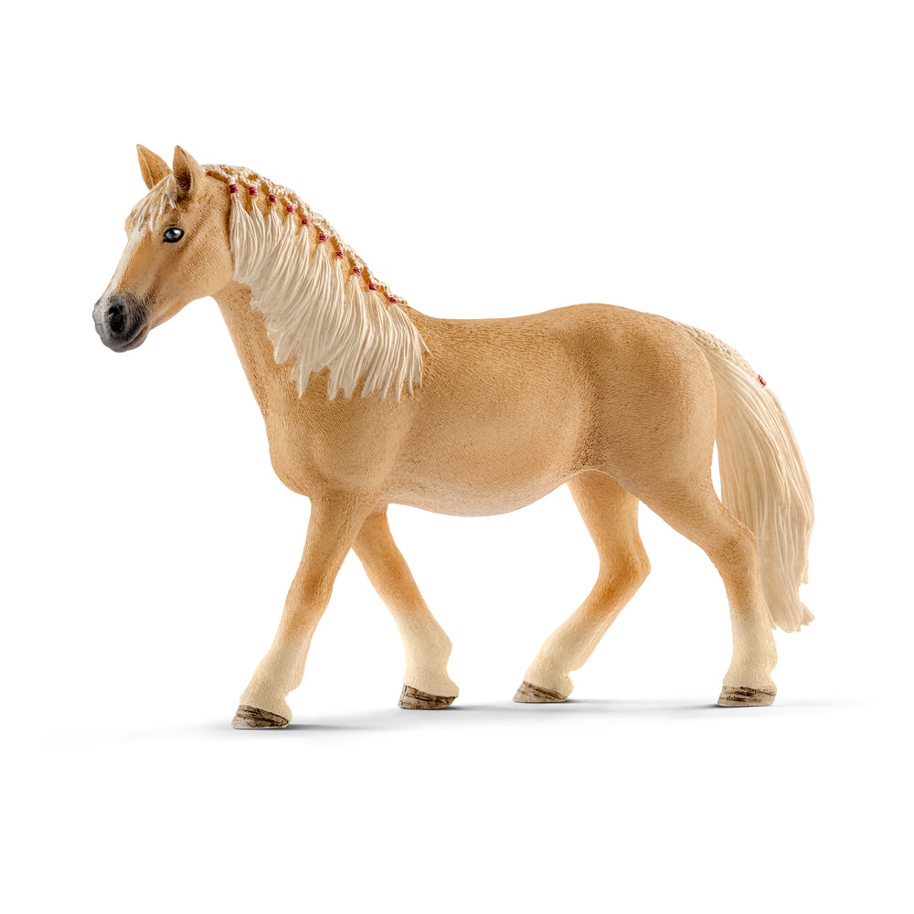 Haflinger hoppe