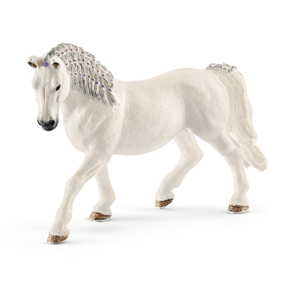 Lipizzaner hoppe