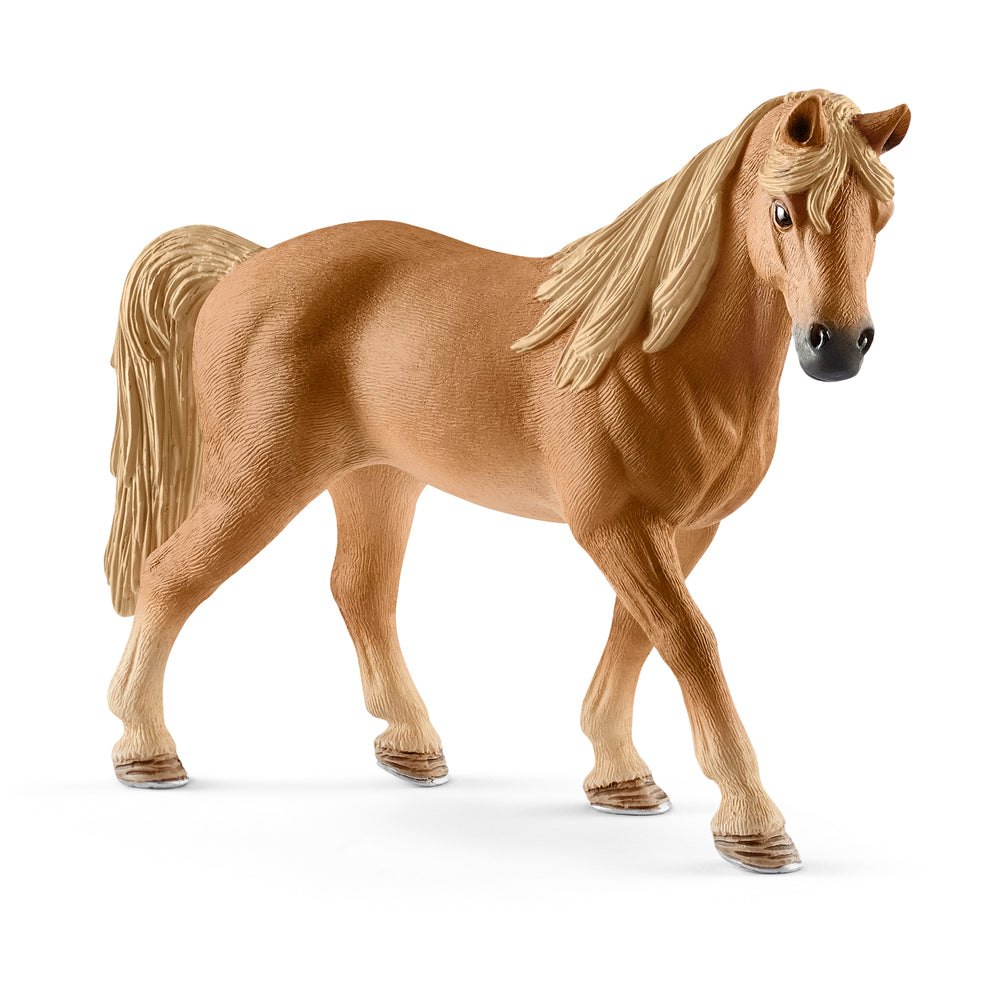 Tennessee walker hoppe