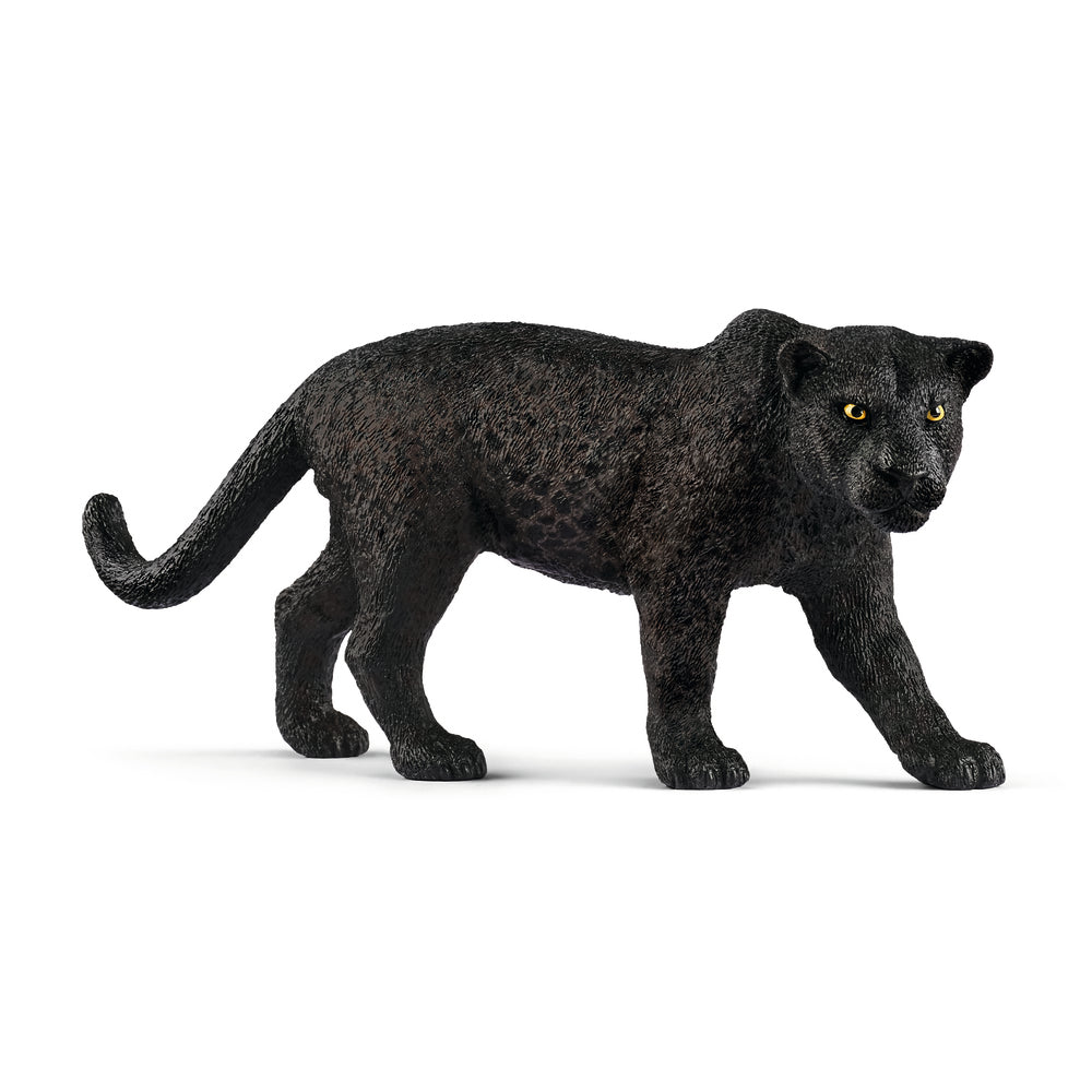 Sort panter