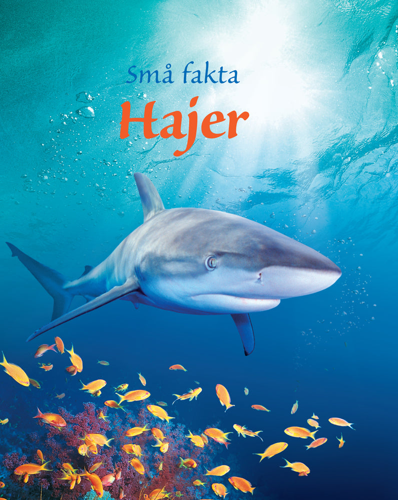 Hajer