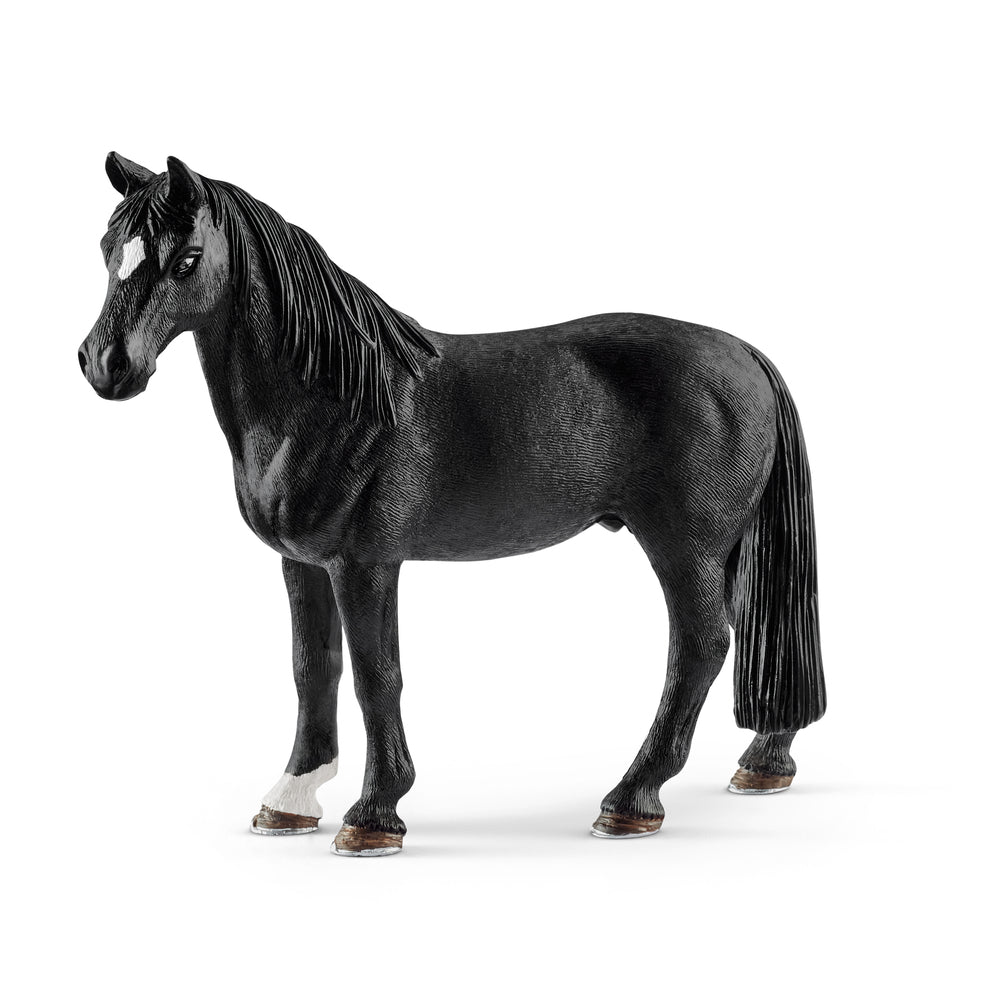 Tennessee walker vallak