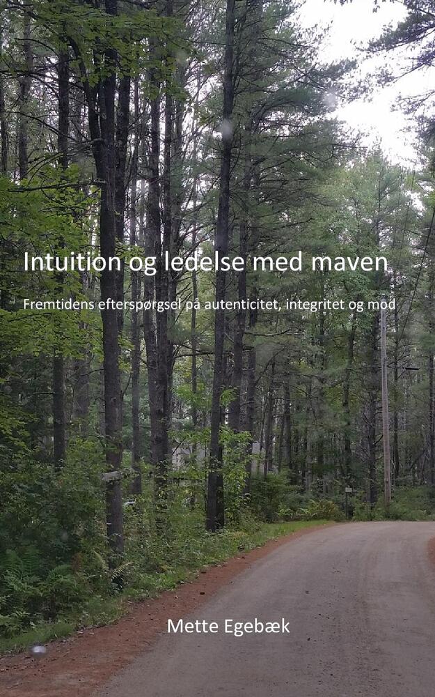 Intuition og ledelse med maven